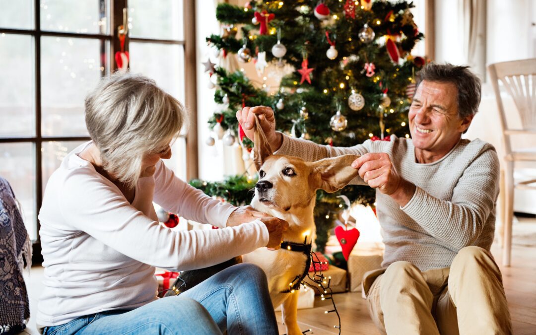 A Delightful Holiday Season for Our Senior Pets: Tips for Celebrating with Joy